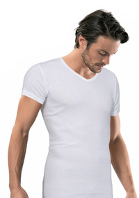 футболка мужская, (арт. 6001)